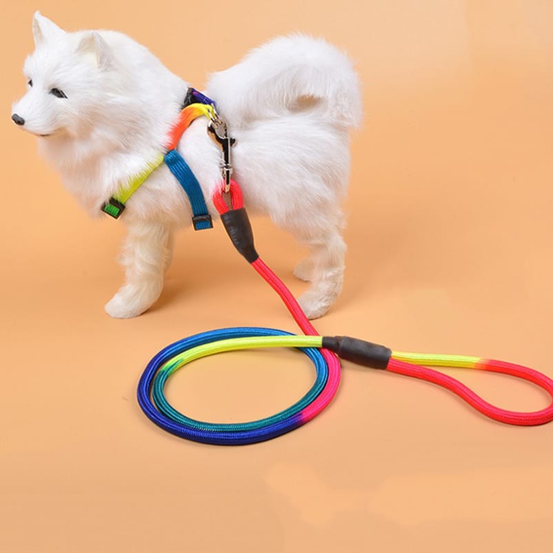 Cat / Dog Rainbow Harness Leash Durable Nylon Walking Leash 120cm