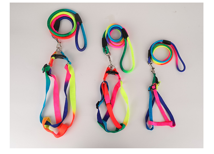 Cat / Dog Rainbow Harness Leash Durable Nylon Walking Leash 120cm