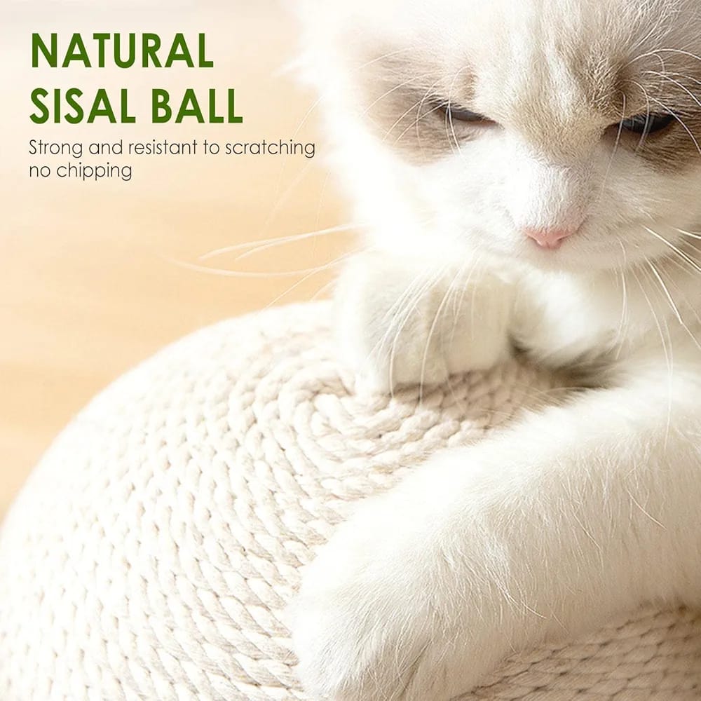 Adorable Cream Colour Lamb Design Cat Scratcher Ball With  Spring Toy Ball