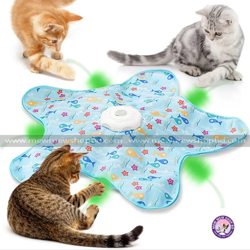 Automatic Hide and Seek Cat Toy with Moving Single Feather for Indoor Cats with USB Rechargeable
