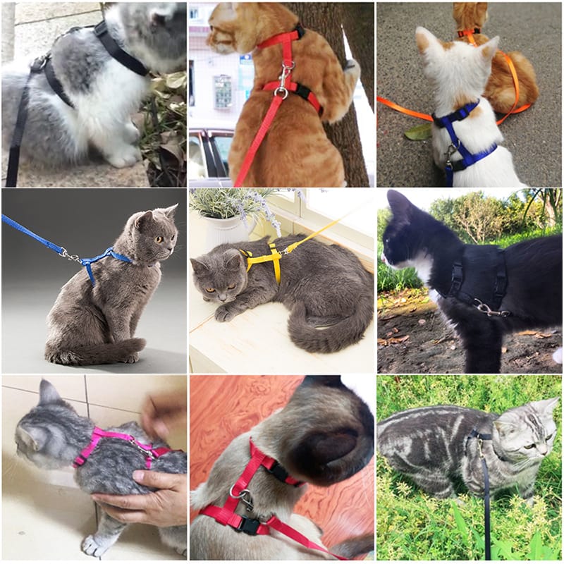 Cat Plain Harness with Leash and Adjustable for Pet cat