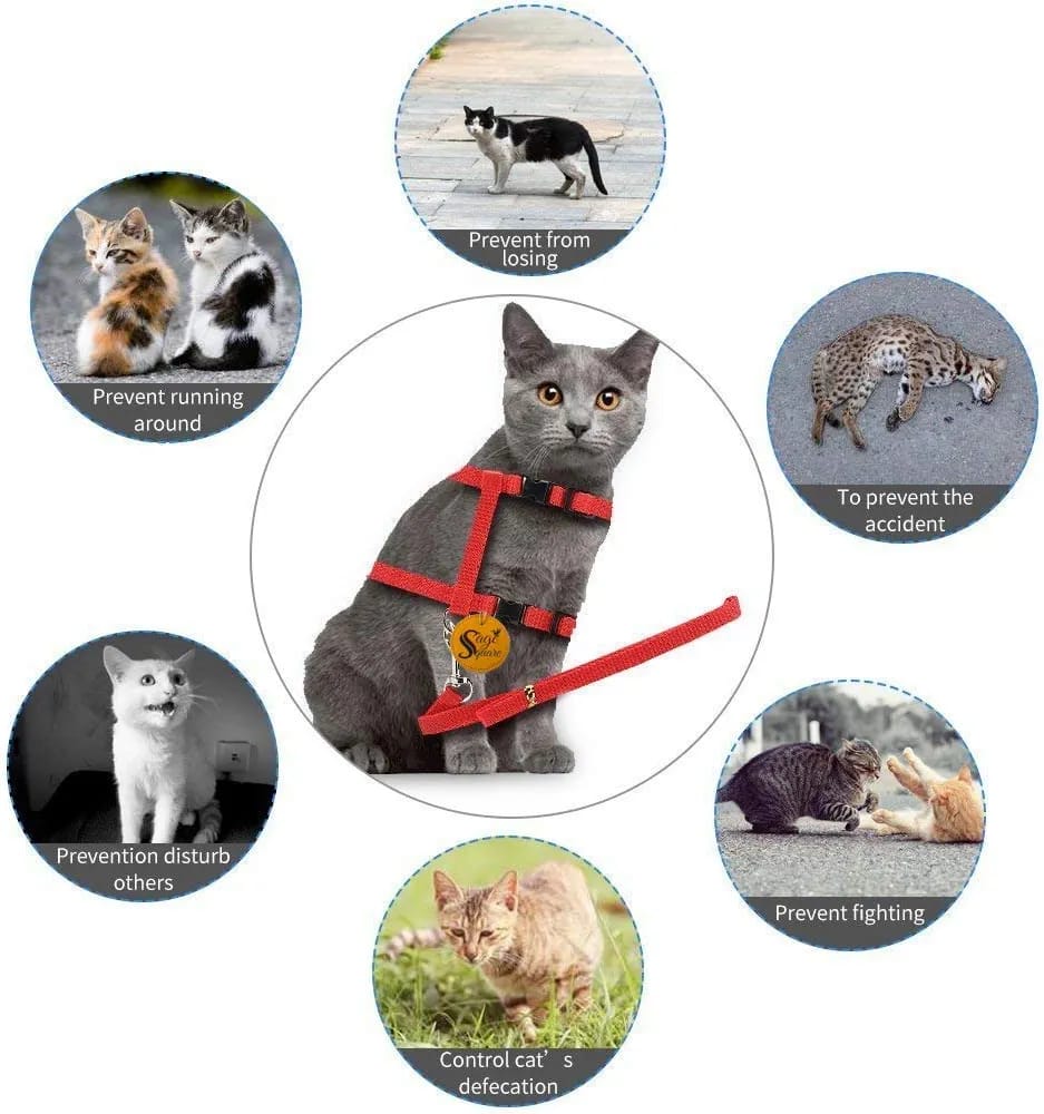 Cat Plain Harness with Leash and Adjustable for Pet cat