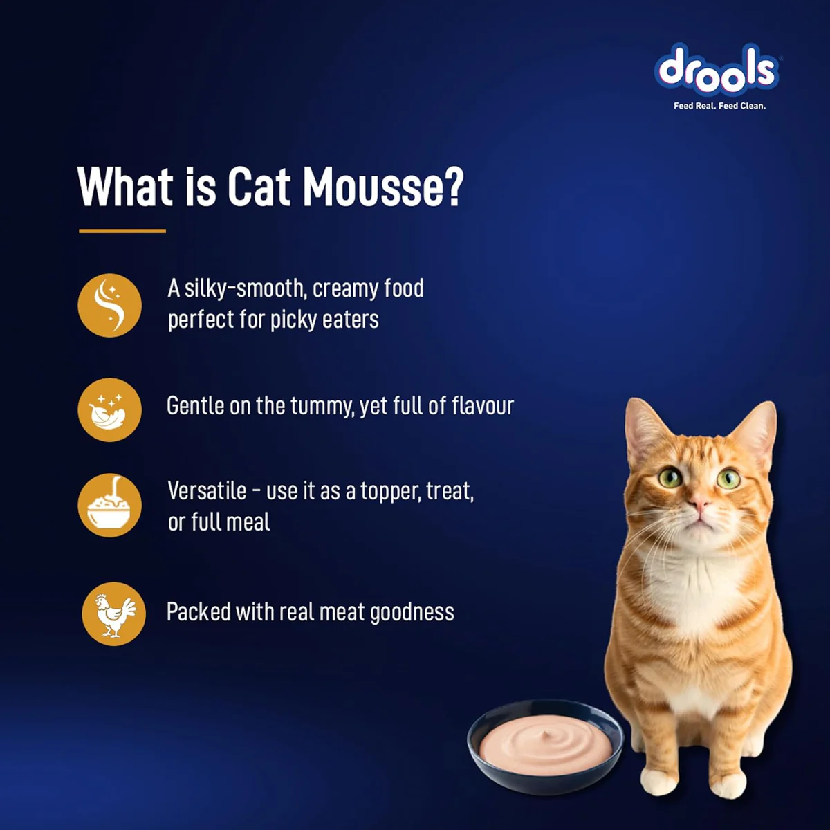 Drools Adult Cat Pouch Chicken Mousse Flavor 80g