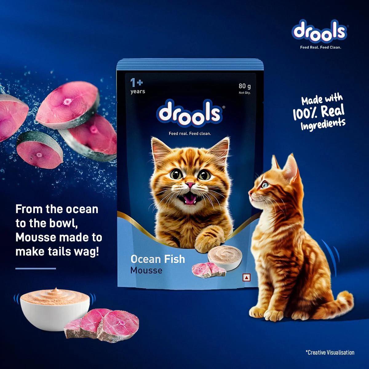 Drools Adult Cat Pouch Ocean Fish Mousse Flavor 80g