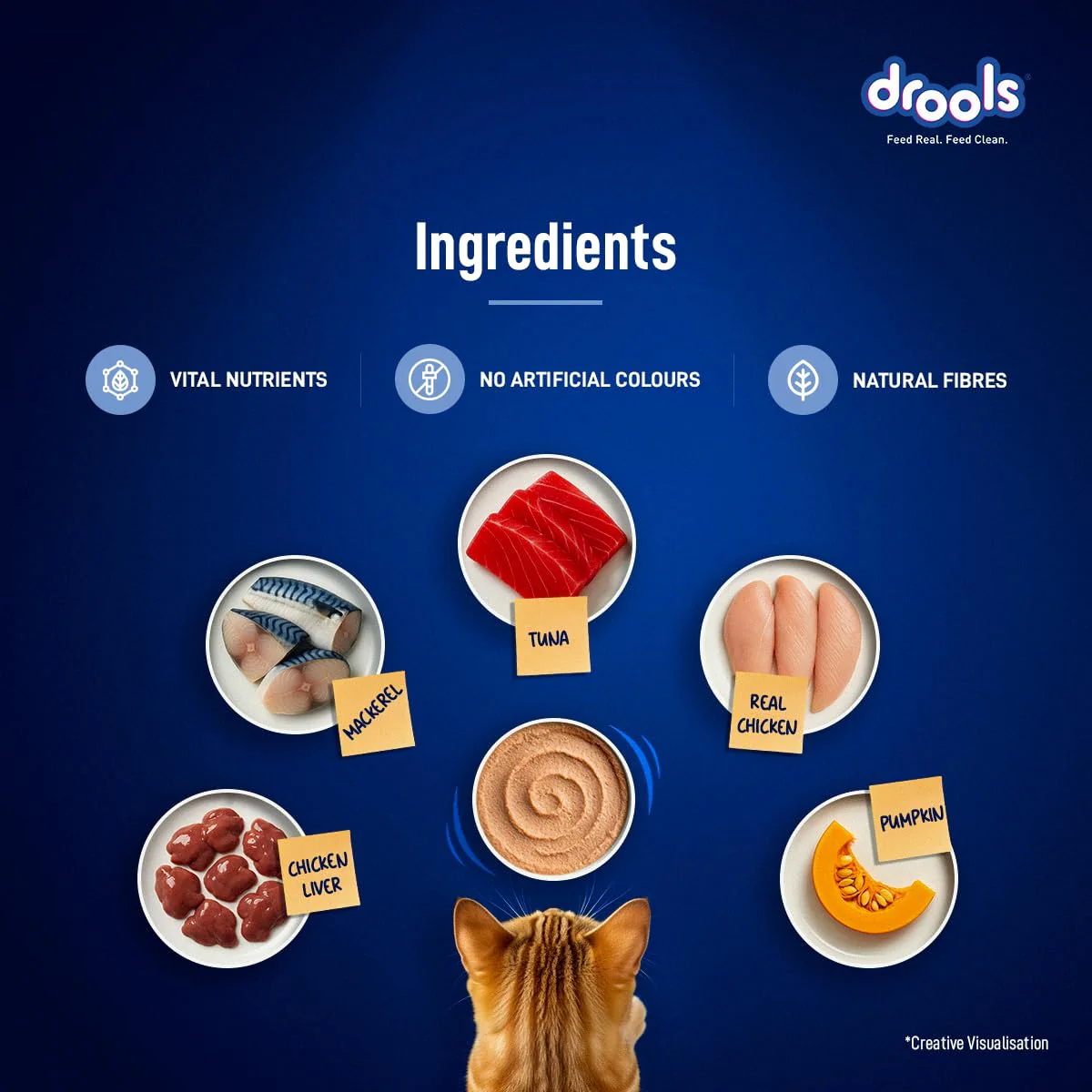 Drools Adult Cat Pouch Ocean Fish Mousse Flavor 80g