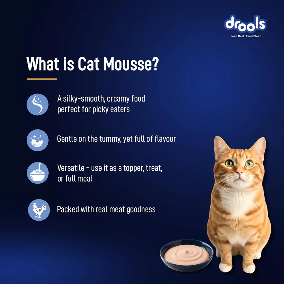 Drools Adult Cat Pouch Ocean Fish Mousse Flavor 80g