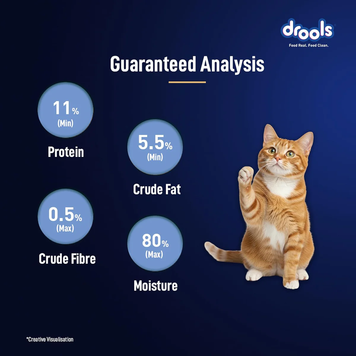Drools Adult Cat Pouch Ocean Fish Mousse Flavor 80g