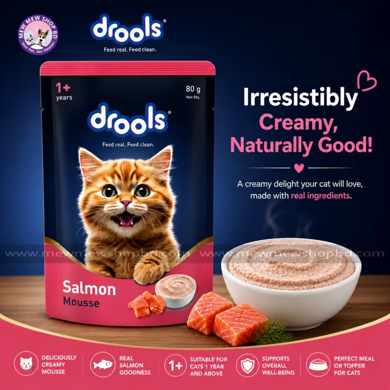 Drools Adult Cat Pouch Salmon Mousse Flavor 80g