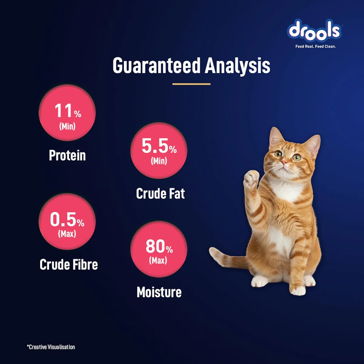 Drools Adult Cat Pouch Salmon Mousse Flavor 80g