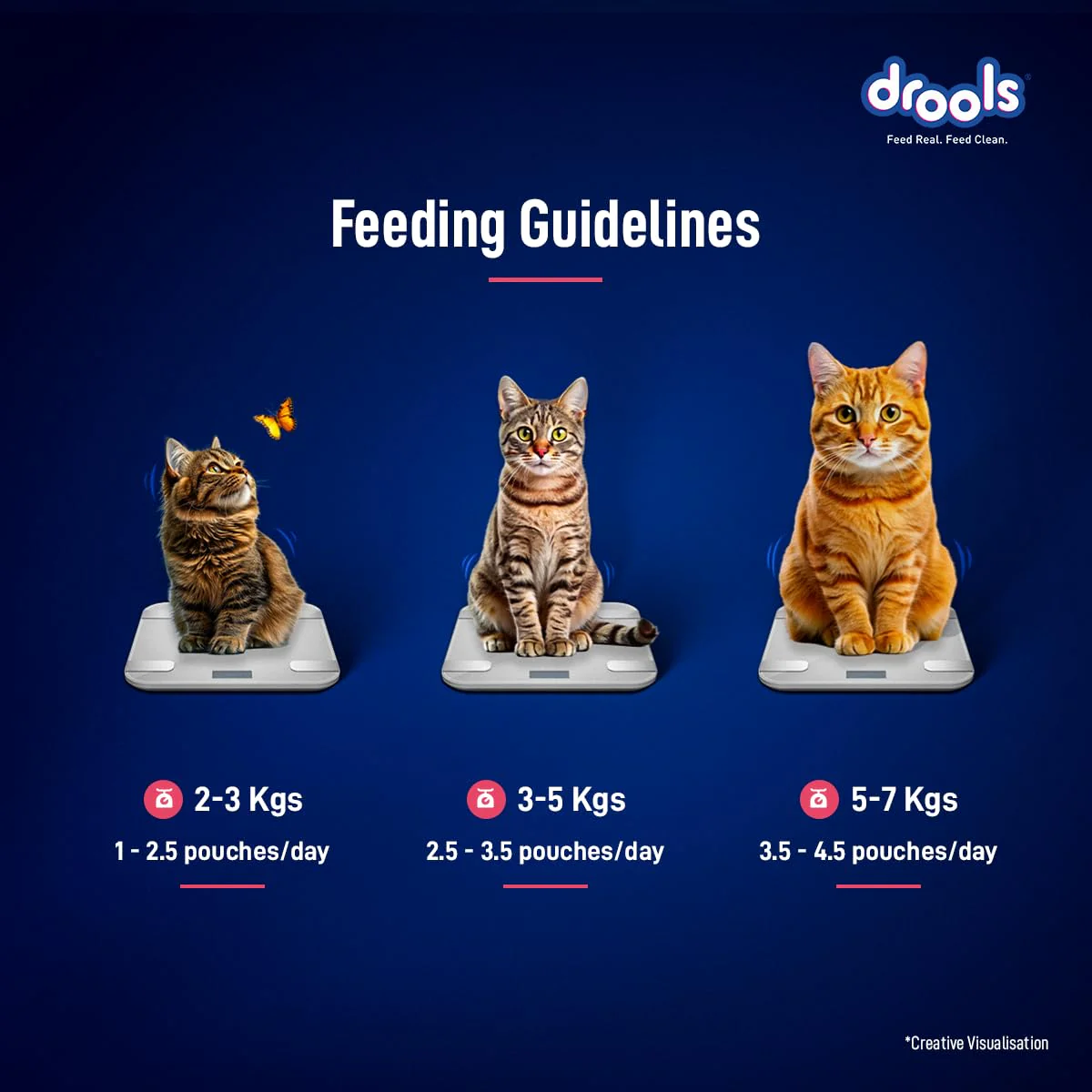 Drools Adult Cat Pouch Salmon Mousse Flavor 80g