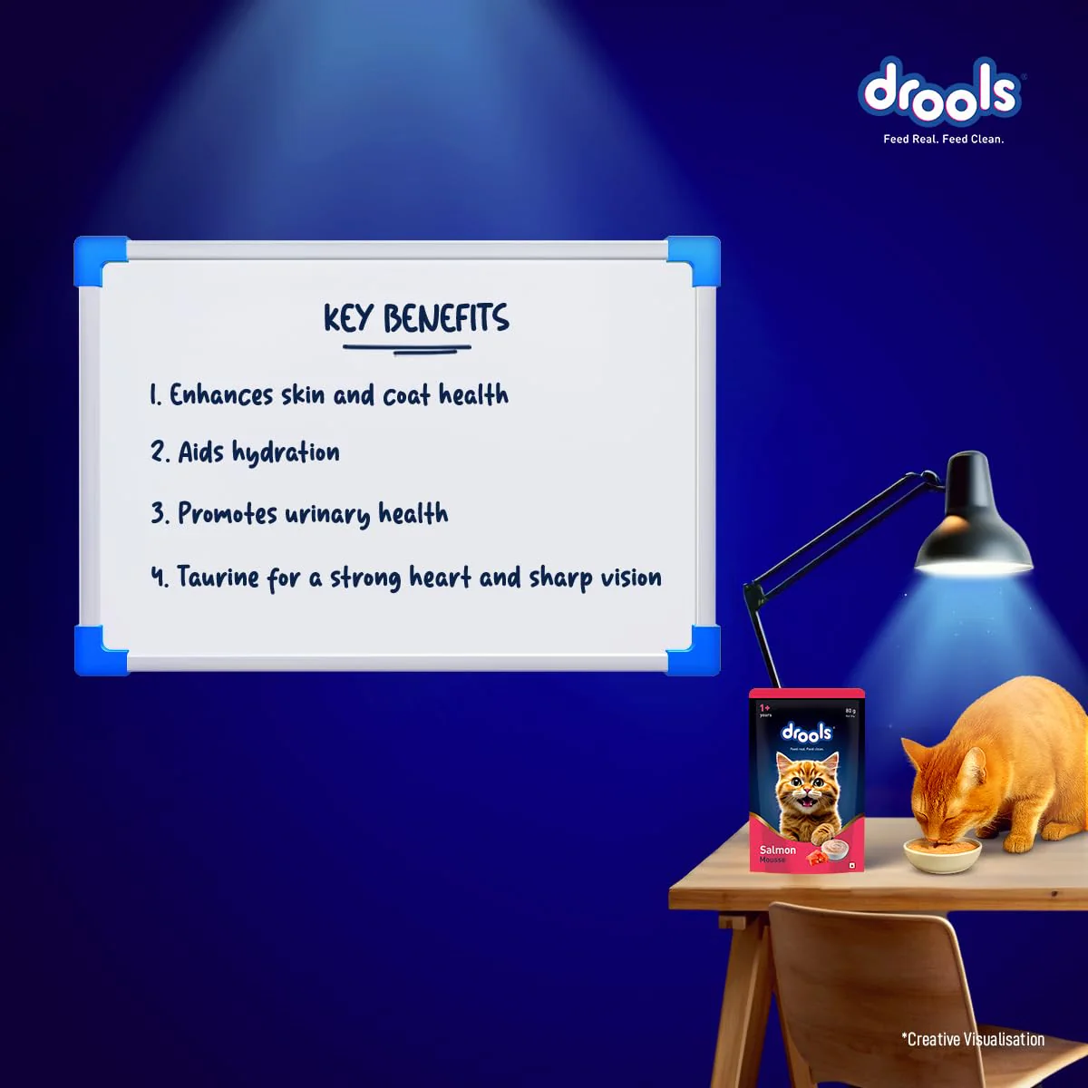 Drools Adult Cat Pouch Salmon Mousse Flavor 80g