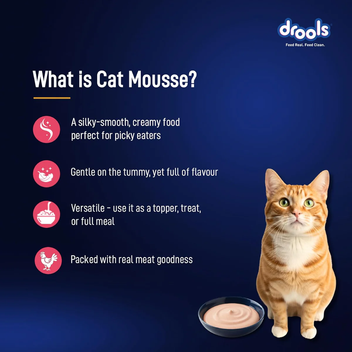 Drools Adult Cat Pouch Salmon Mousse Flavor 80g