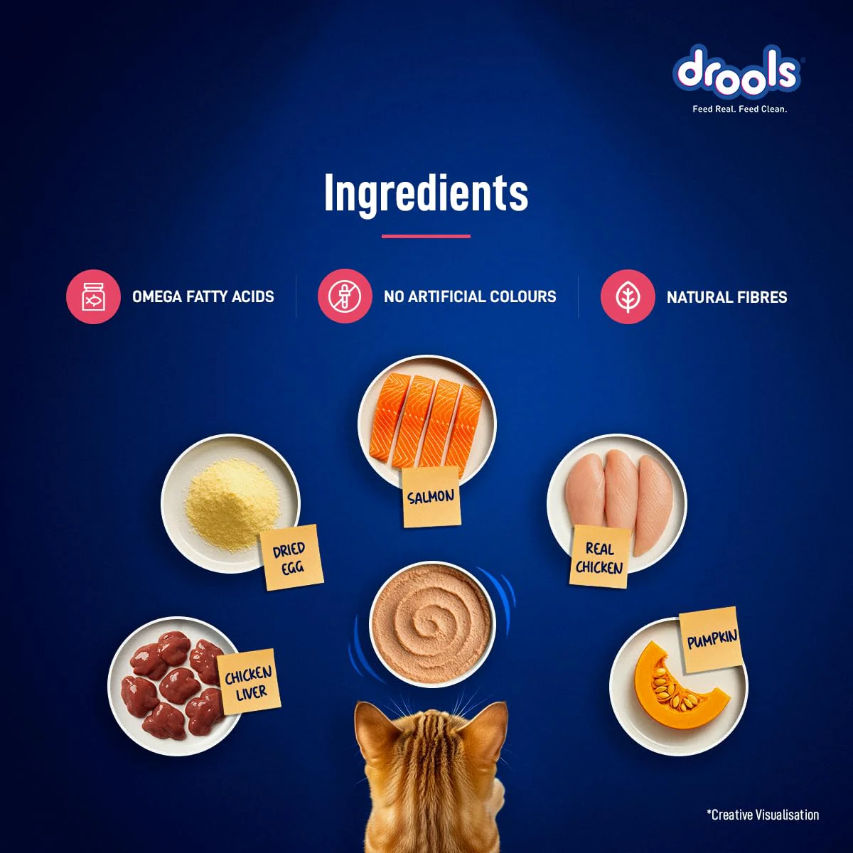 Drools Adult Cat Pouch Salmon Mousse Flavor 80g