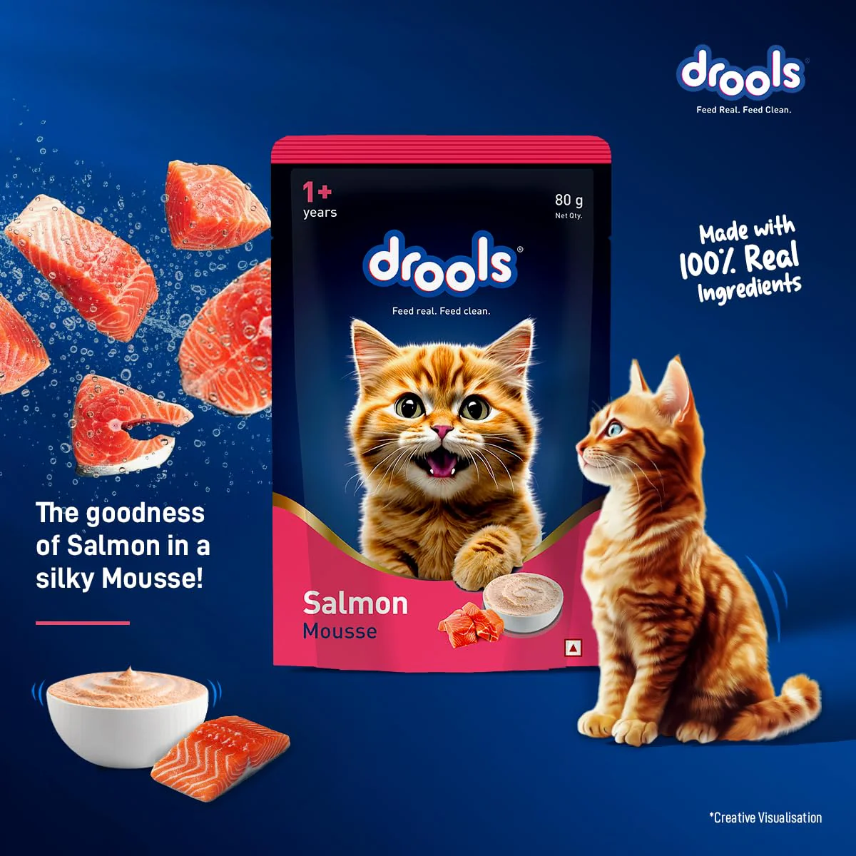 Drools Adult Cat Pouch Salmon Mousse Flavor 80g