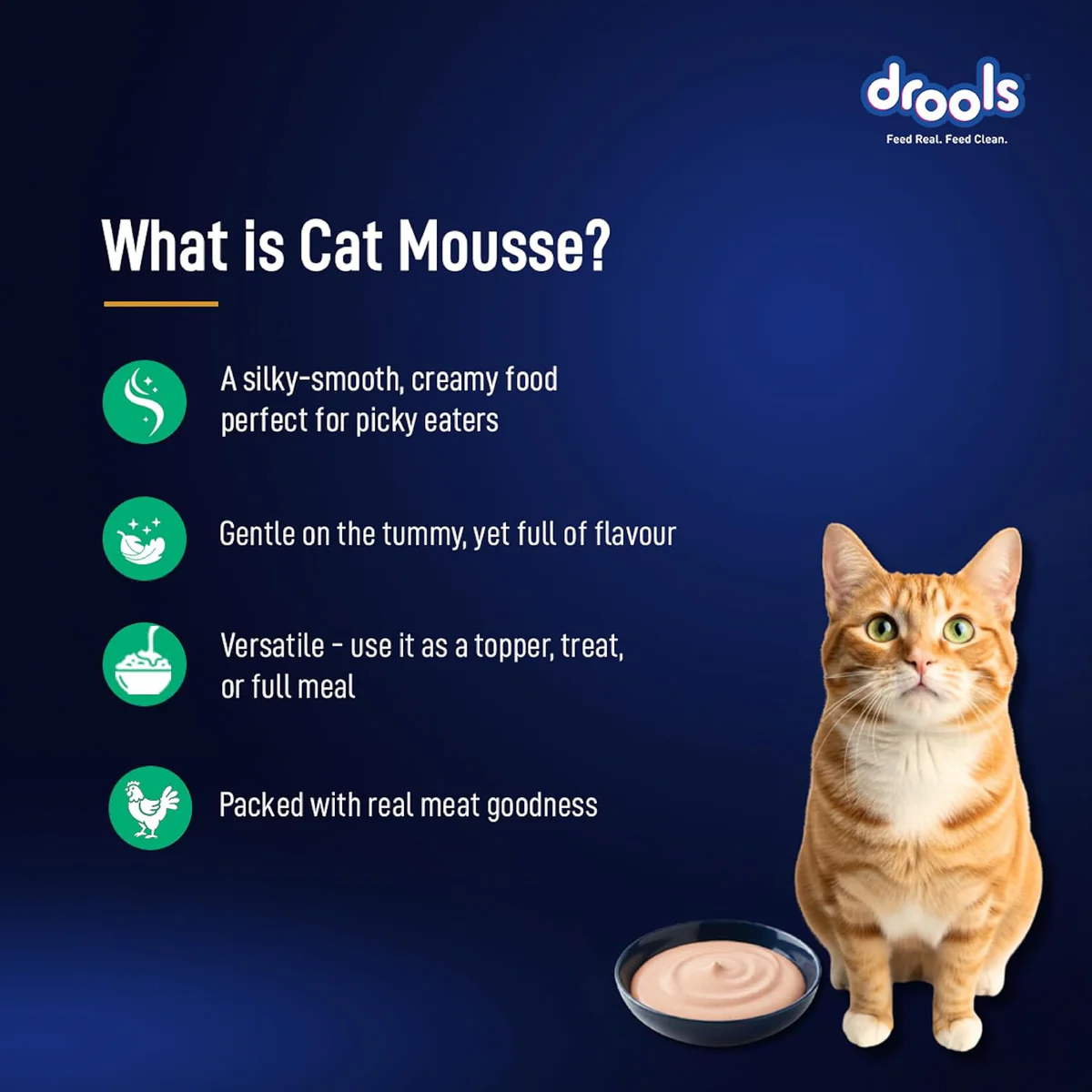 Drools Adult Cat Pouch Tuna Mousse Flavor 80g