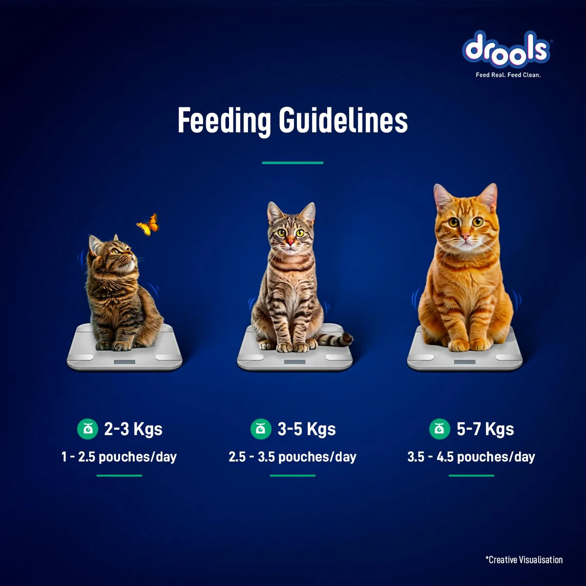 Drools Adult Cat Pouch Chicken Mousse Flavor 80g