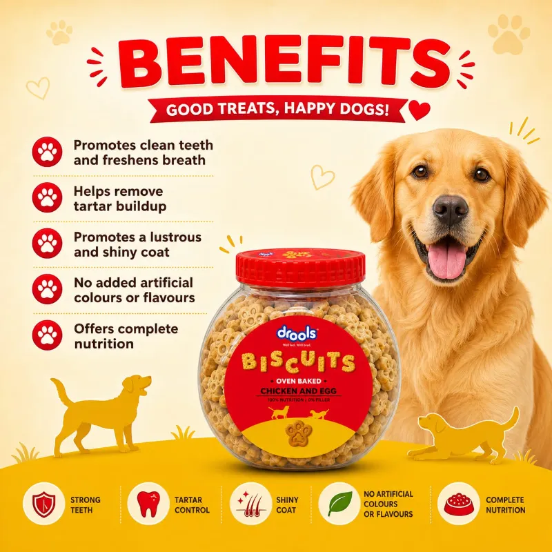Drools Dog Treat Biscuit Chicken And Egg Flavor 400G ( All Life Stage )