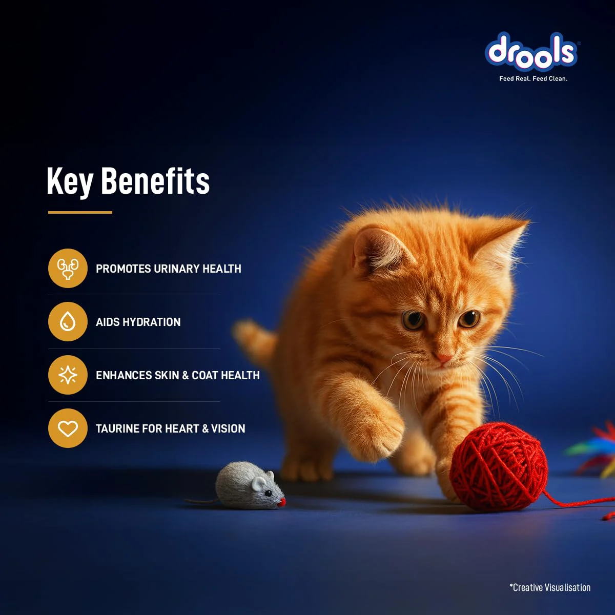 Drools Kitten Cat Pouch Chicken Mousse Flavor 80g