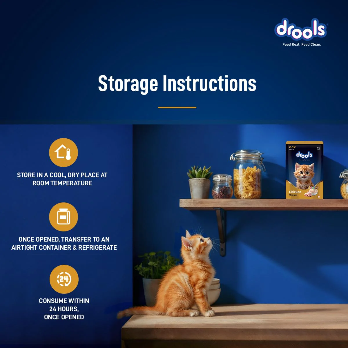 Drools Kitten Cat Pouch Chicken Mousse Flavor 80g