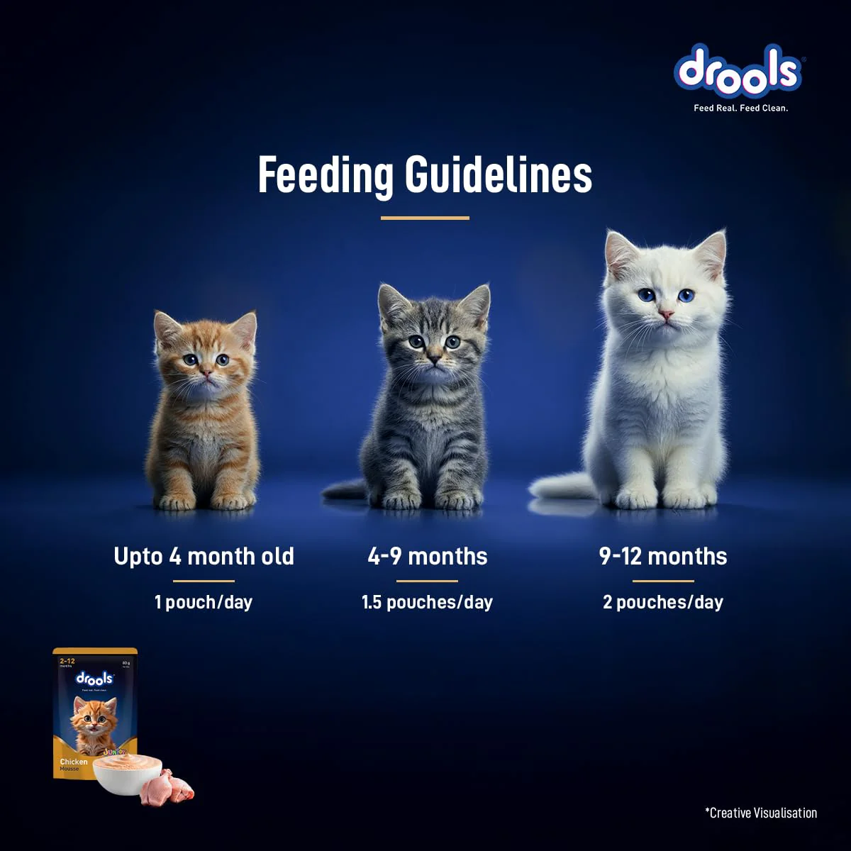 Drools Kitten Cat Pouch Chicken Mousse Flavor 80g