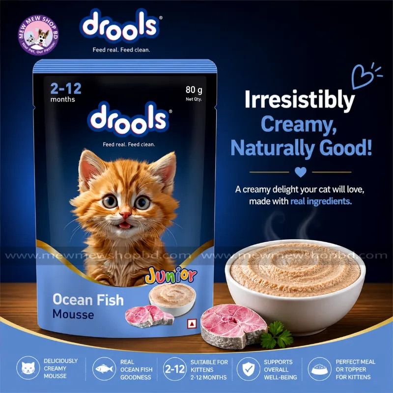 Drools Kitten Cat Pouch Ocean Fish Mousse Flavor 80g