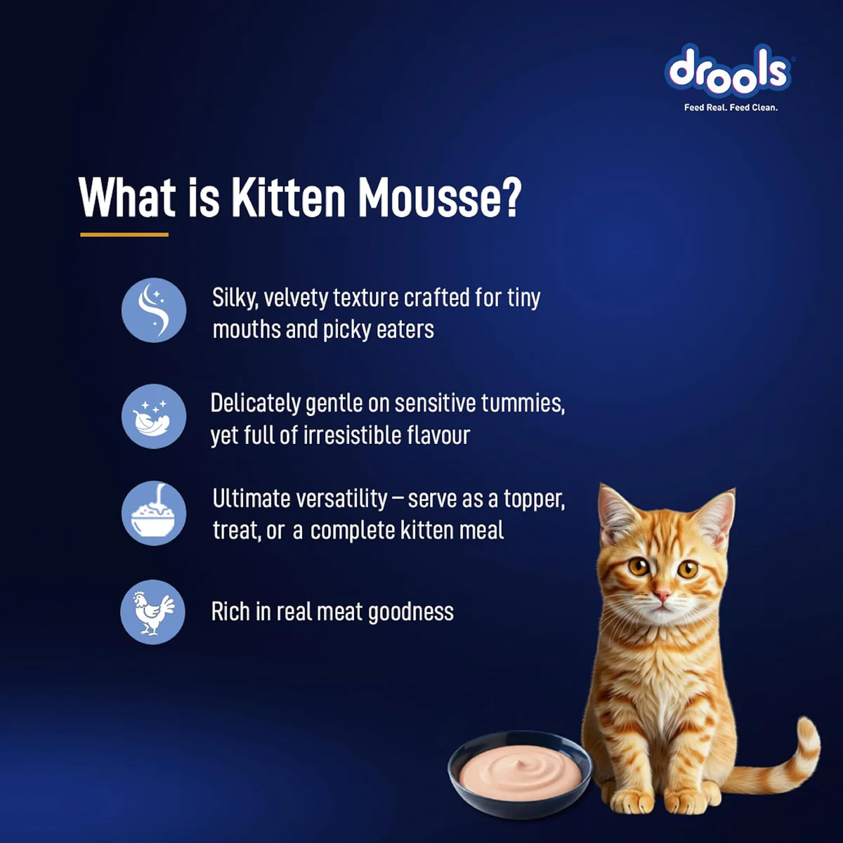 Drools Kitten Cat Pouch Ocean Fish Mousse Flavor 80g