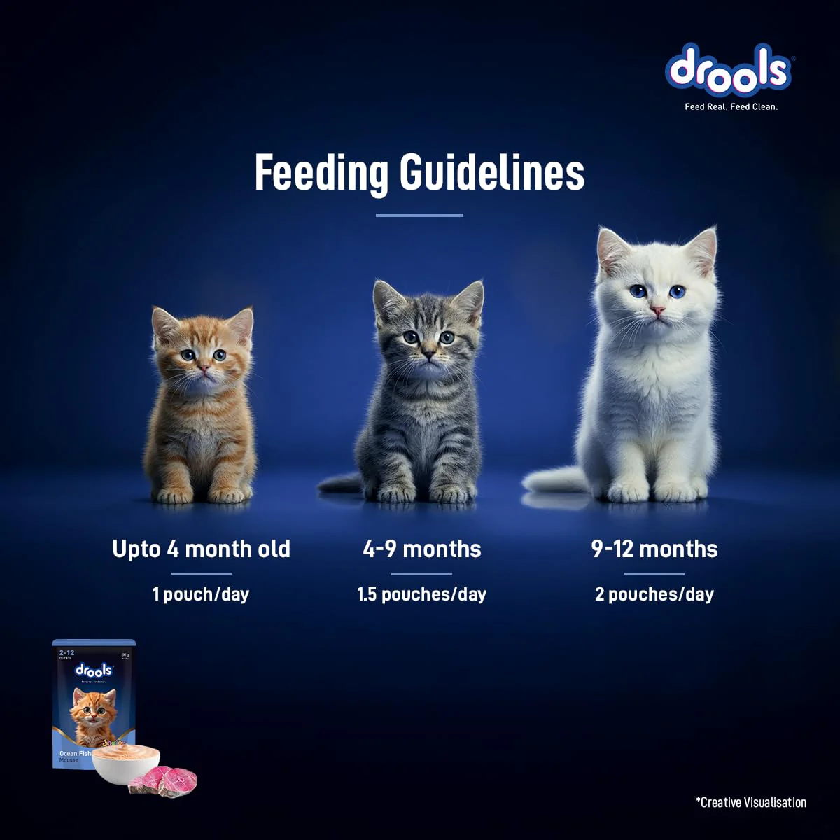 Drools Kitten Cat Pouch Ocean Fish Mousse Flavor 80g