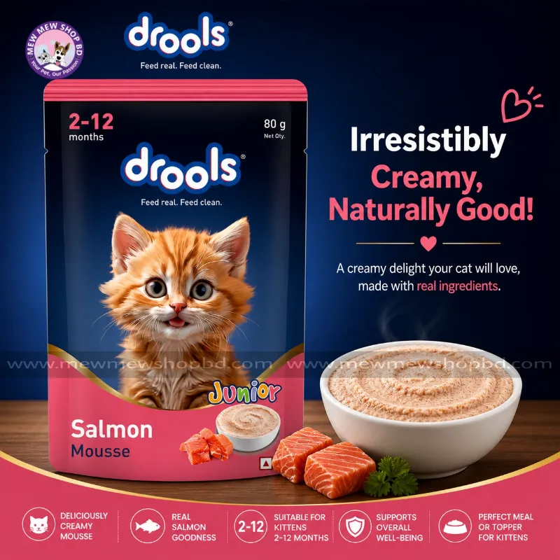 Drools Kitten Cat Pouch Salmon Mousse Flavor 80g
