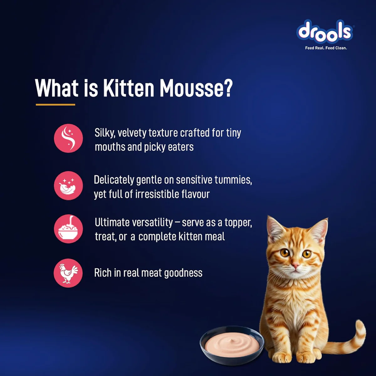 Drools Kitten Cat Pouch Salmon Mousse Flavor 80g
