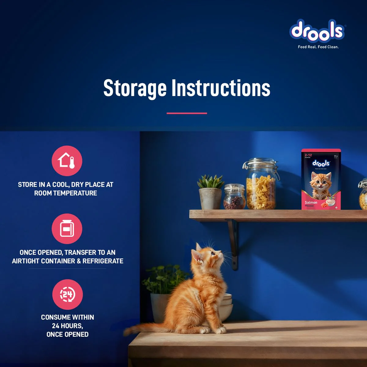 Drools Kitten Cat Pouch Salmon Mousse Flavor 80g