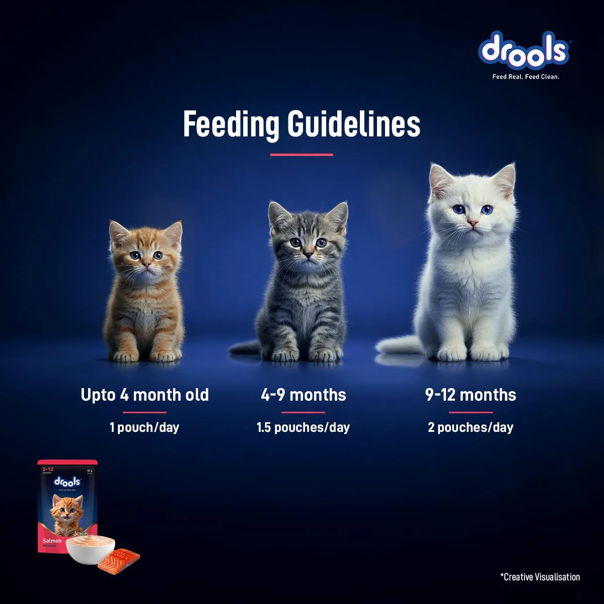 Drools Kitten Cat Pouch Salmon Mousse Flavor 80g