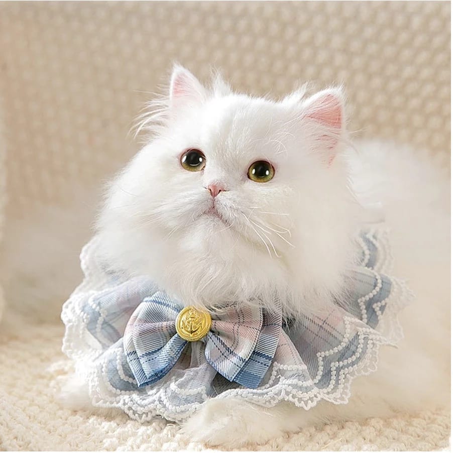 Fashionable Plaid Lace Scarf Bow Collar for Pet Cat & Puppy