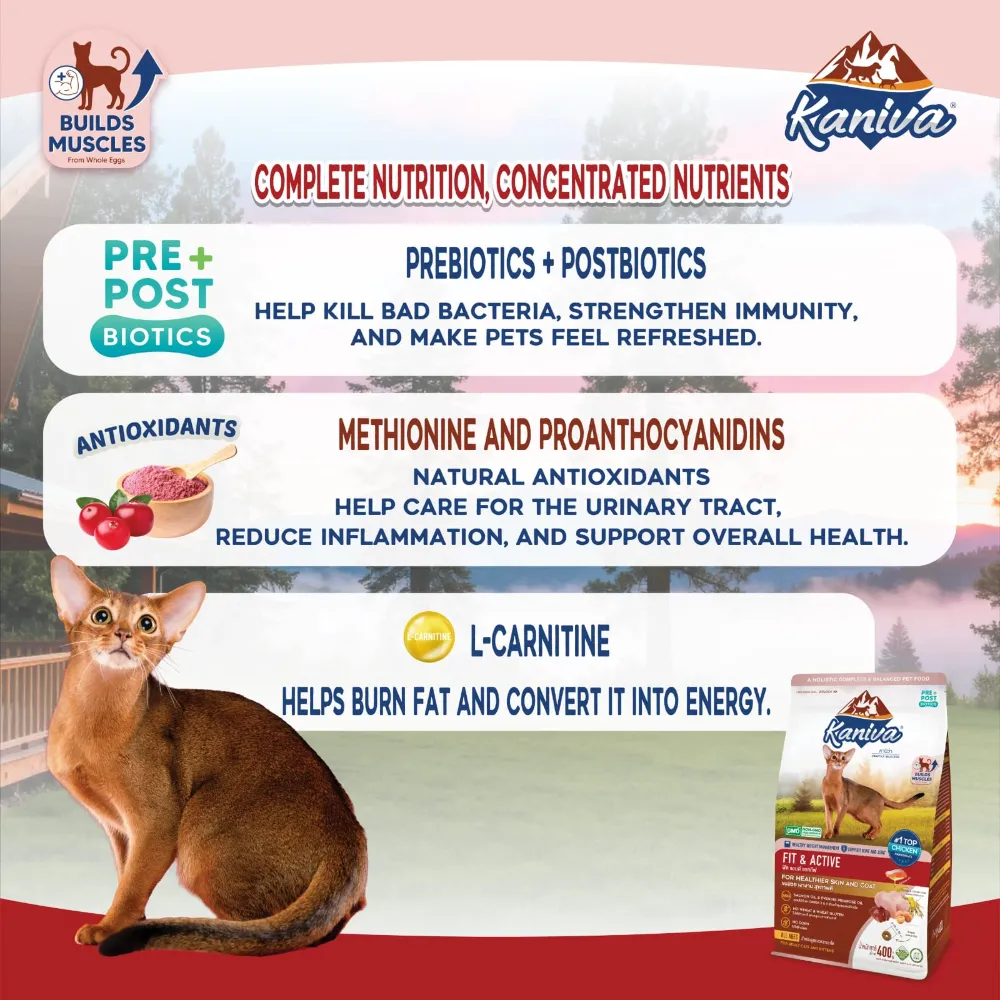 Kaniva Fit & Active Chicken & Egg Dry Cat Food for Adult & kitten