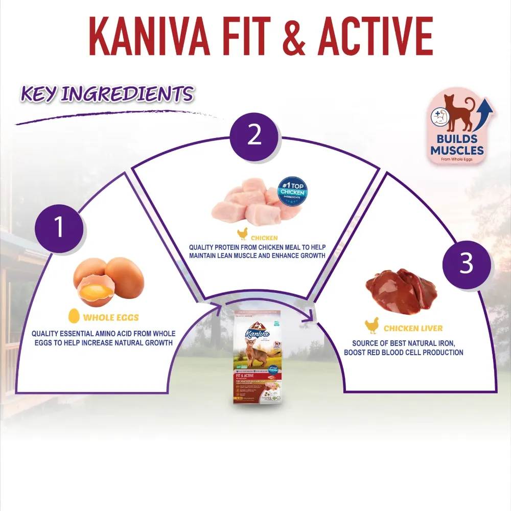 Kaniva Fit & Active Chicken & Egg Dry Cat Food for Adult & kitten
