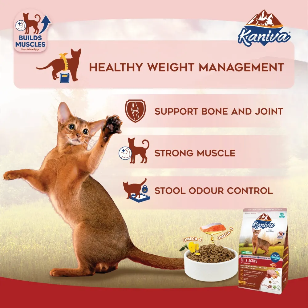 Kaniva Fit & Active Chicken & Egg Dry Cat Food for Adult & kitten
