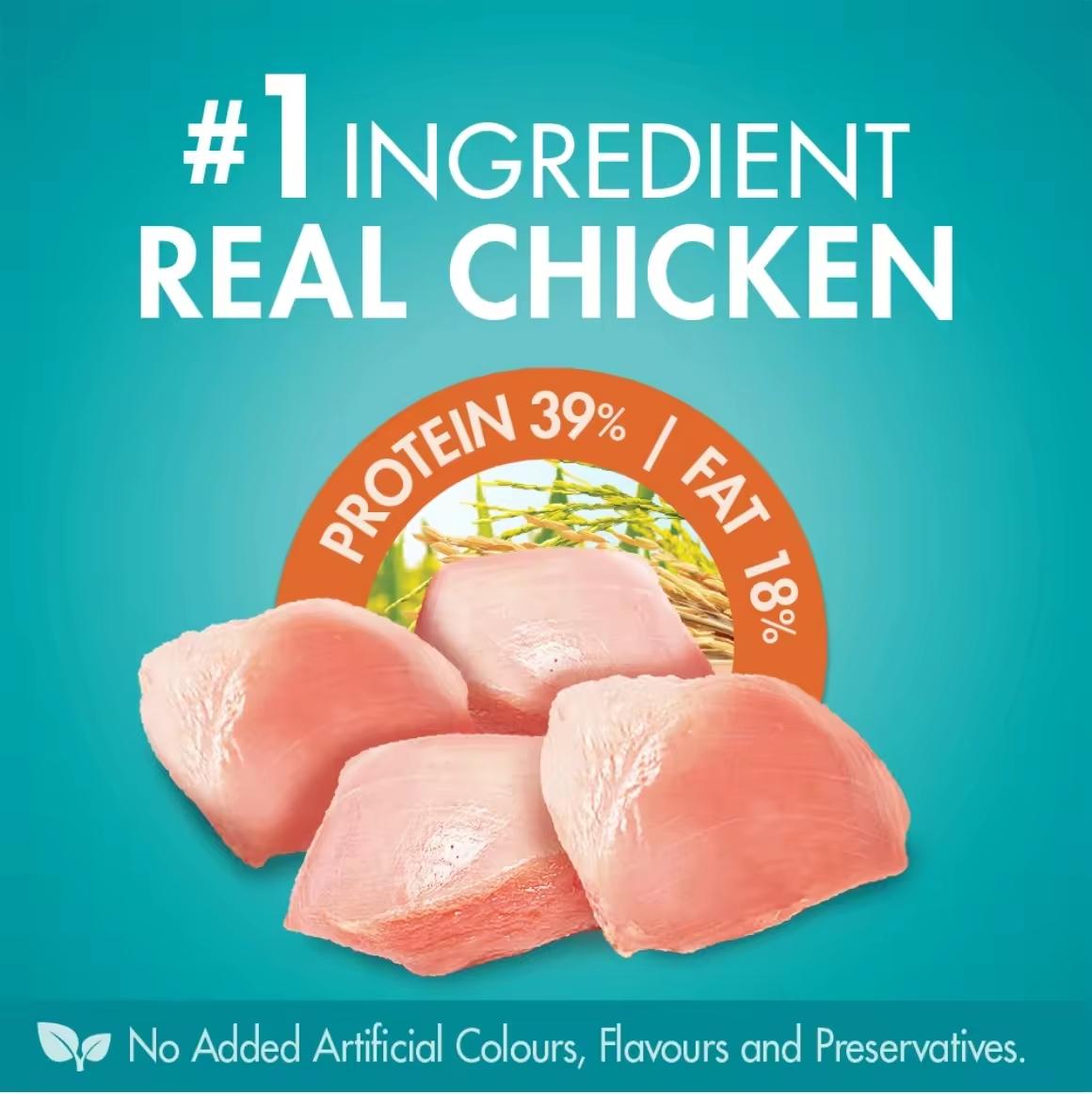 Purina One Adult Urinary Care with Chicken Dry Cat Food 6.6kg