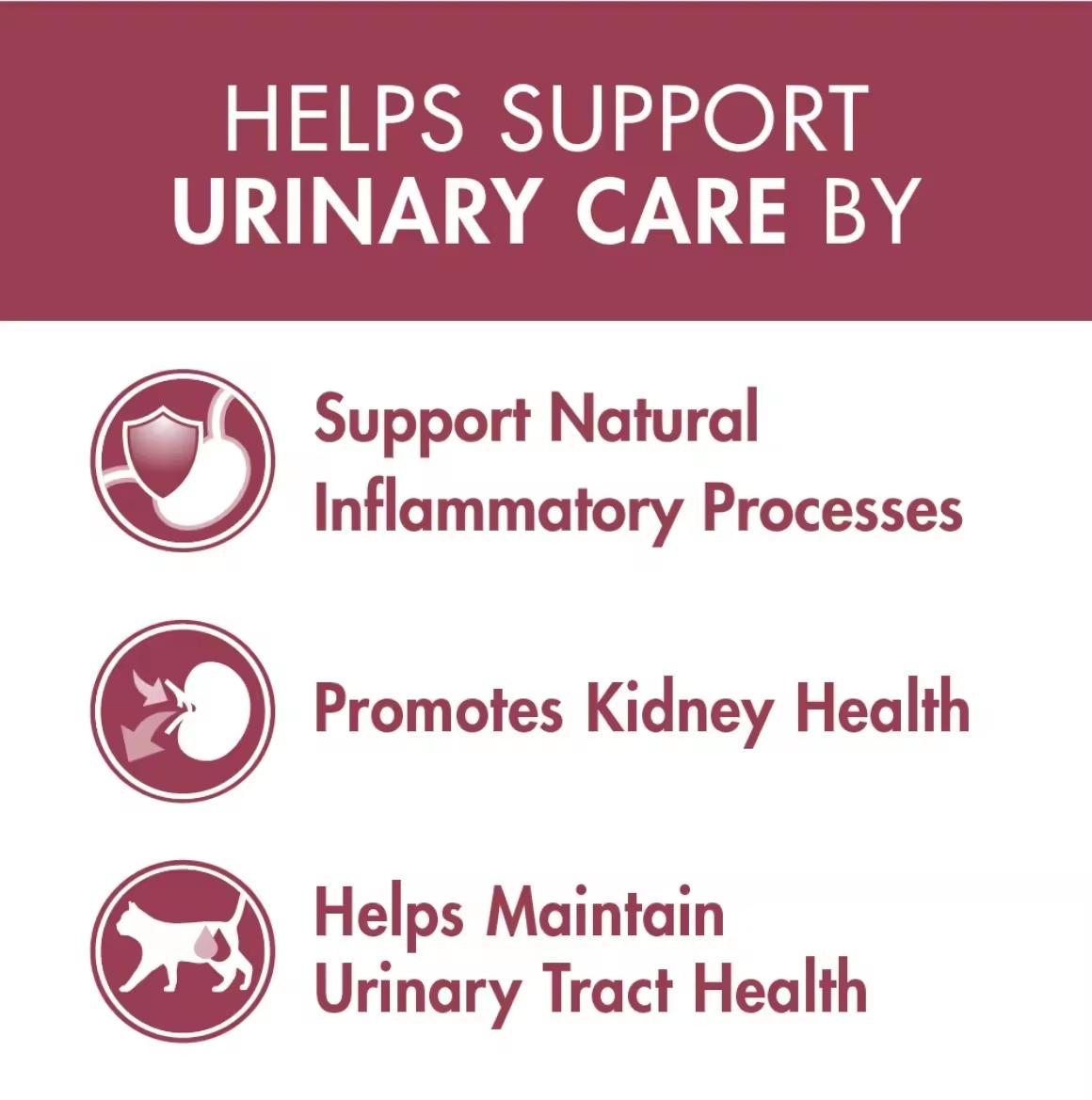 Purina One Adult Urinary Care with Chicken Dry Cat Food 6.6kg