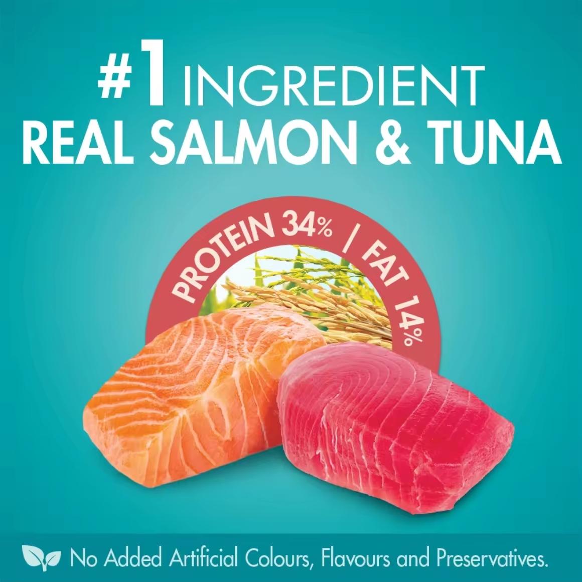 Purina One Healthy Adult with Salmon & Tuna Dry Cat Food 6.6kg