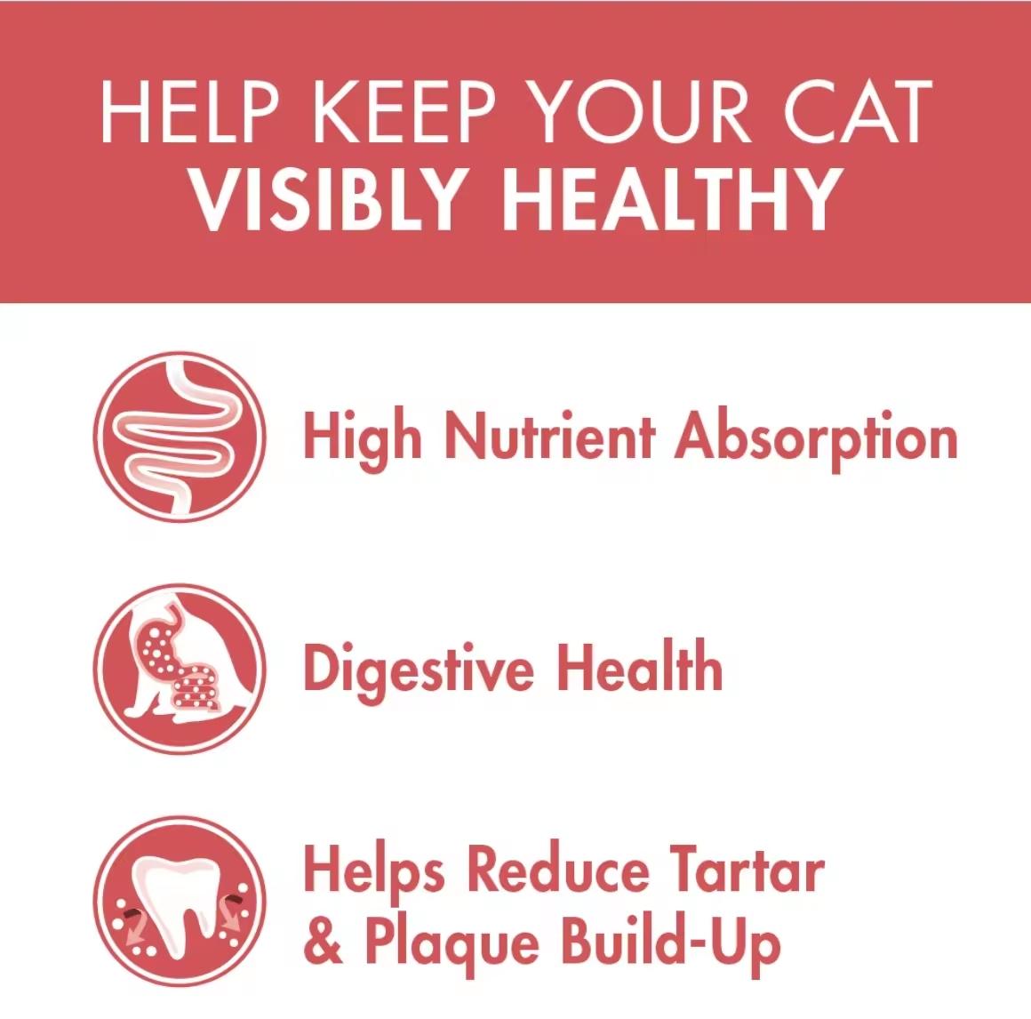 Purina One Healthy Adult with Salmon & Tuna Dry Cat Food 6.6kg