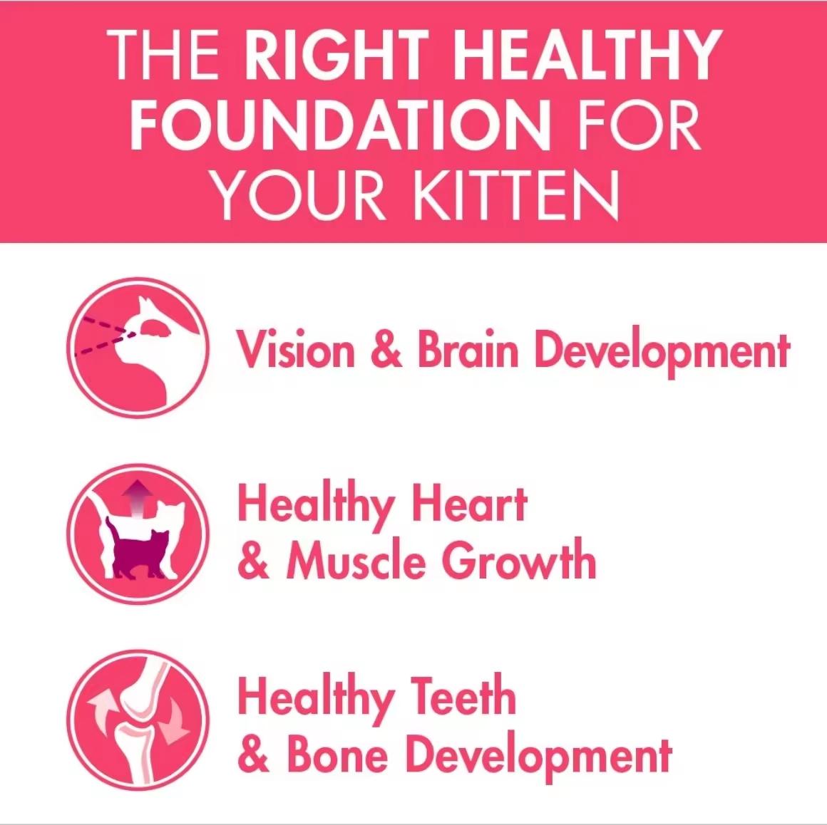 Purina One Healthy Kitten with Chicken Dry Cat Food 6.6kg