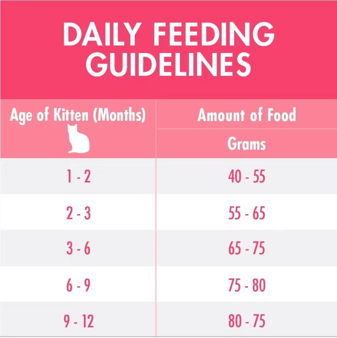 Purina One Healthy Kitten with Chicken Dry Cat Food 6.6kg