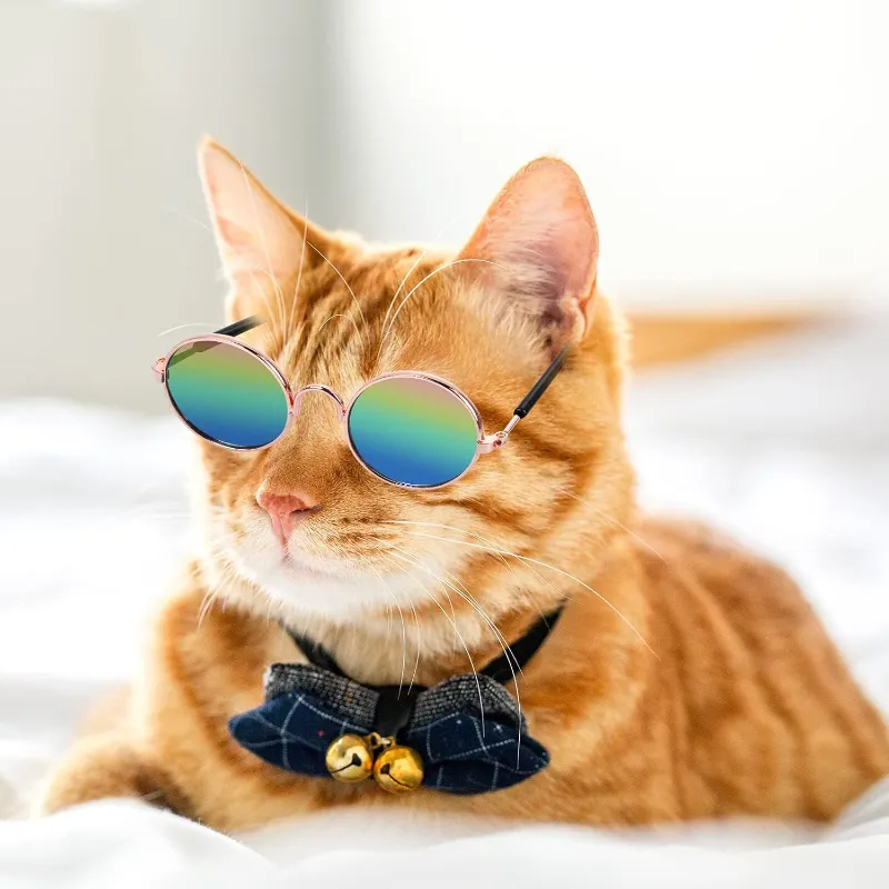 Round Shape Sunglasses For Lovely Pet Cat & Puppy