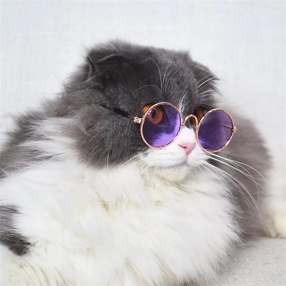 Round Shape Sunglasses For Lovely Pet Cat & Puppy