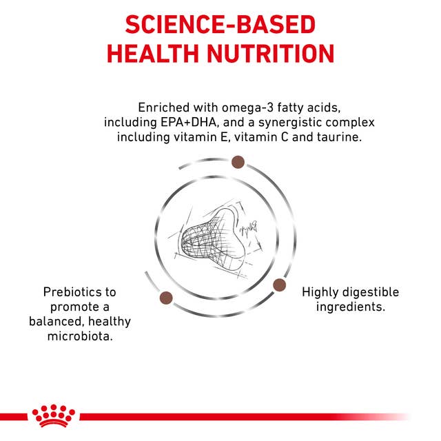 Royal Canin Expert Veterinary Health Nutrition Gastrointestinal S/O Fibre Response Dry Cat Food 2kg