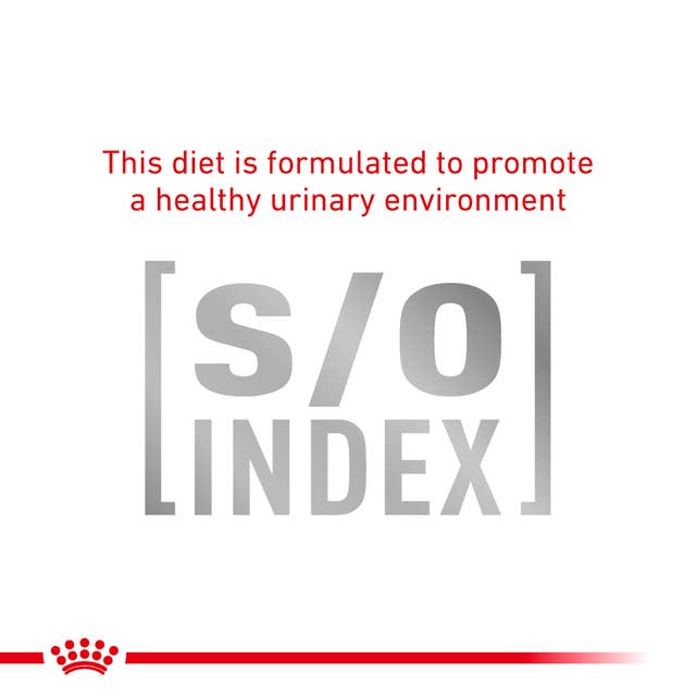 Royal Canin Expert Veterinary Health Nutrition Gastrointestinal S/O Fibre Response Dry Cat Food 2kg