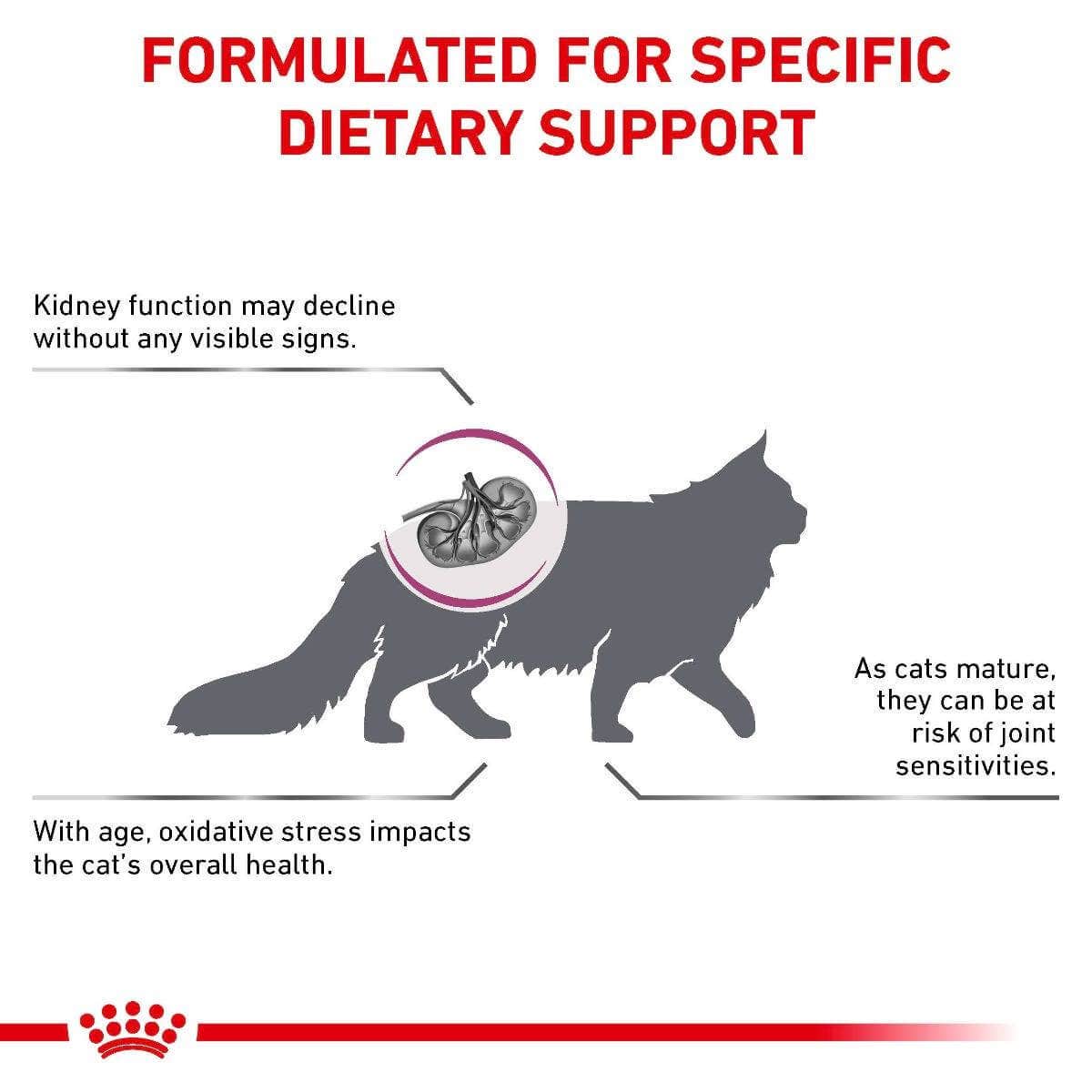 Royal Canin Veterinary Health Nutrition Early Renal S/O Dry Cat Food 1.5kg