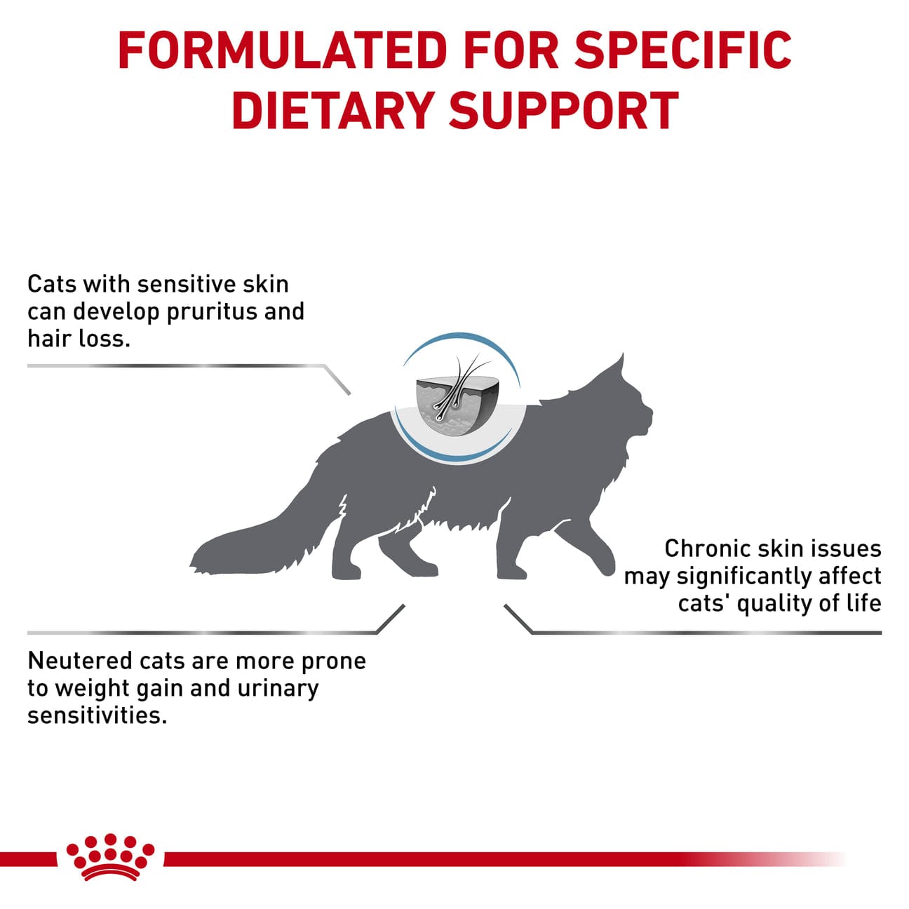 Royal Canin Veterinary Health Nutrition Skin & Coat S/O Dry Cat Food 1.5kg