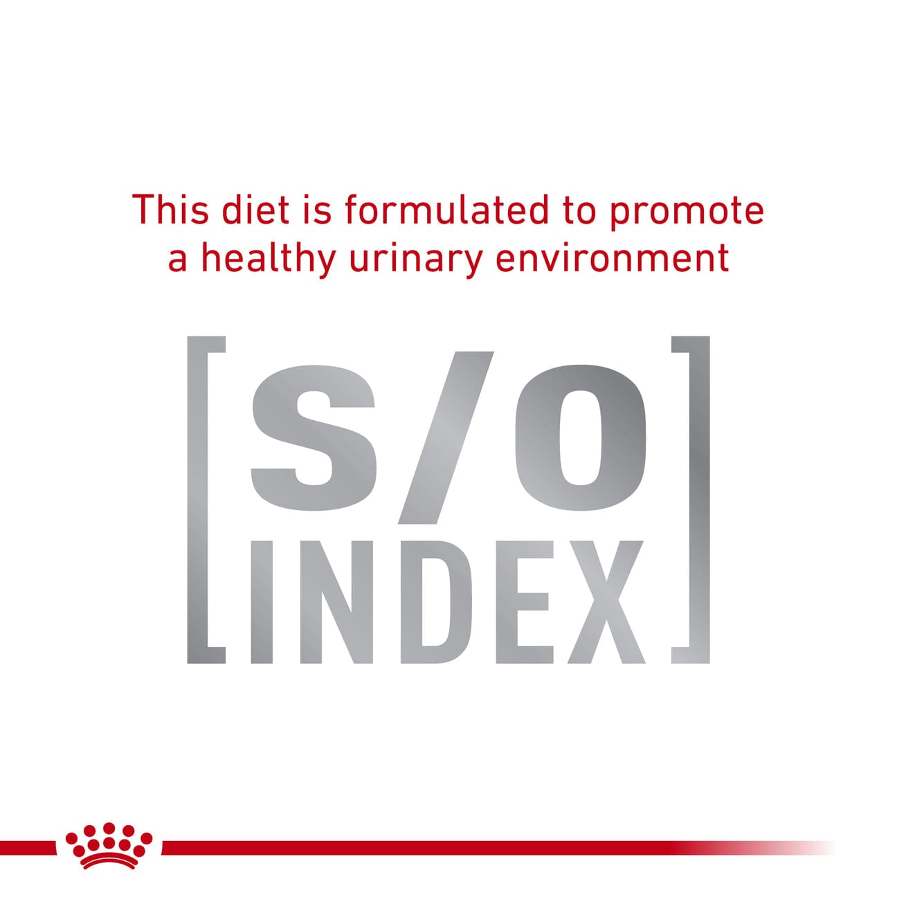 Royal Canin Veterinary Health Nutrition Skin & Coat S/O Dry Cat Food 1.5kg