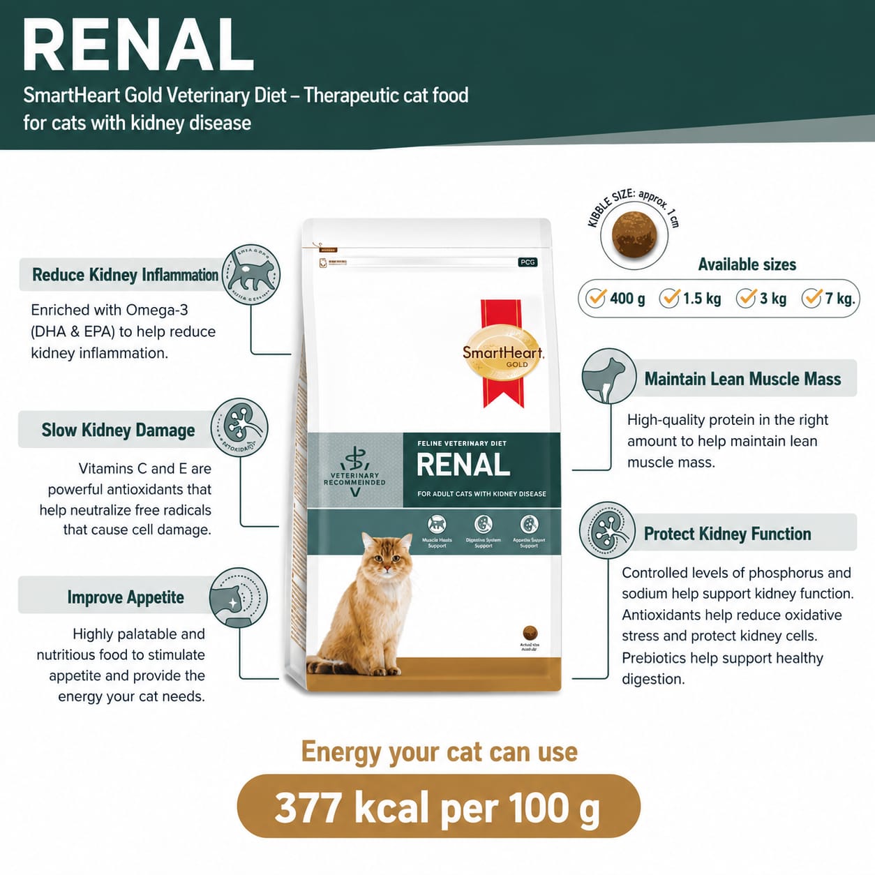 SmartHeart Gold Feline Veterinary Diet Renal Dry Cat Food for Adult Cat