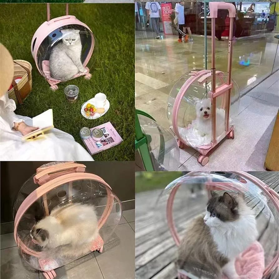 Transparent Cat travel Trolley Cage Large Capacity Bag for Pet Cat & Puppy (Inside Dhaka only)